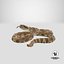 3D light rattlesnake snake rattle