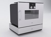 Gaggenau BSP250 + WSP221
