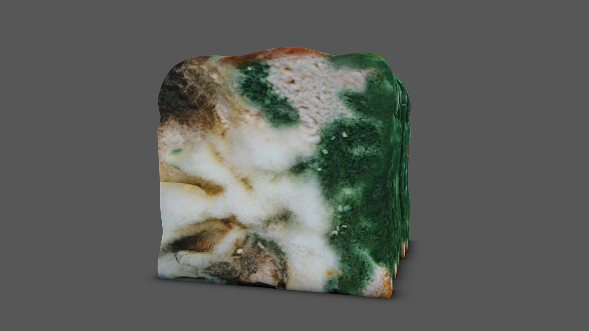 Mould On Bread 3D Model - TurboSquid 1787945