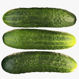 3D 4k cucumbers short-fruited prickly
