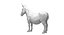 Donkey