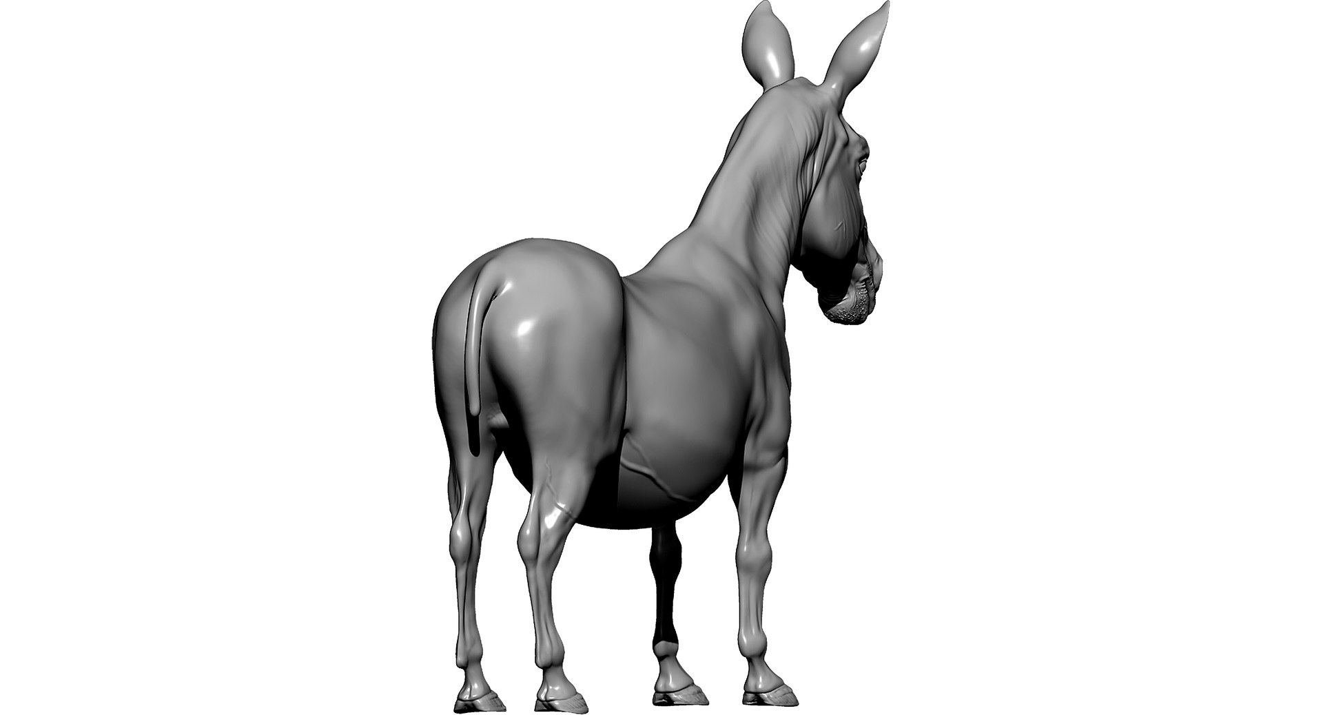 donkey horse max https://p.turbosquid.com/ts-thumb/hE/ScnJ4C/FmLNxzFd/z3/jpg/1479154106/1920x1080/fit_q87/b2e80a3f297e2c479cd865e9a4945fb9875e439d/z3.jpg