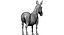 Donkey