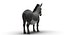 Donkey