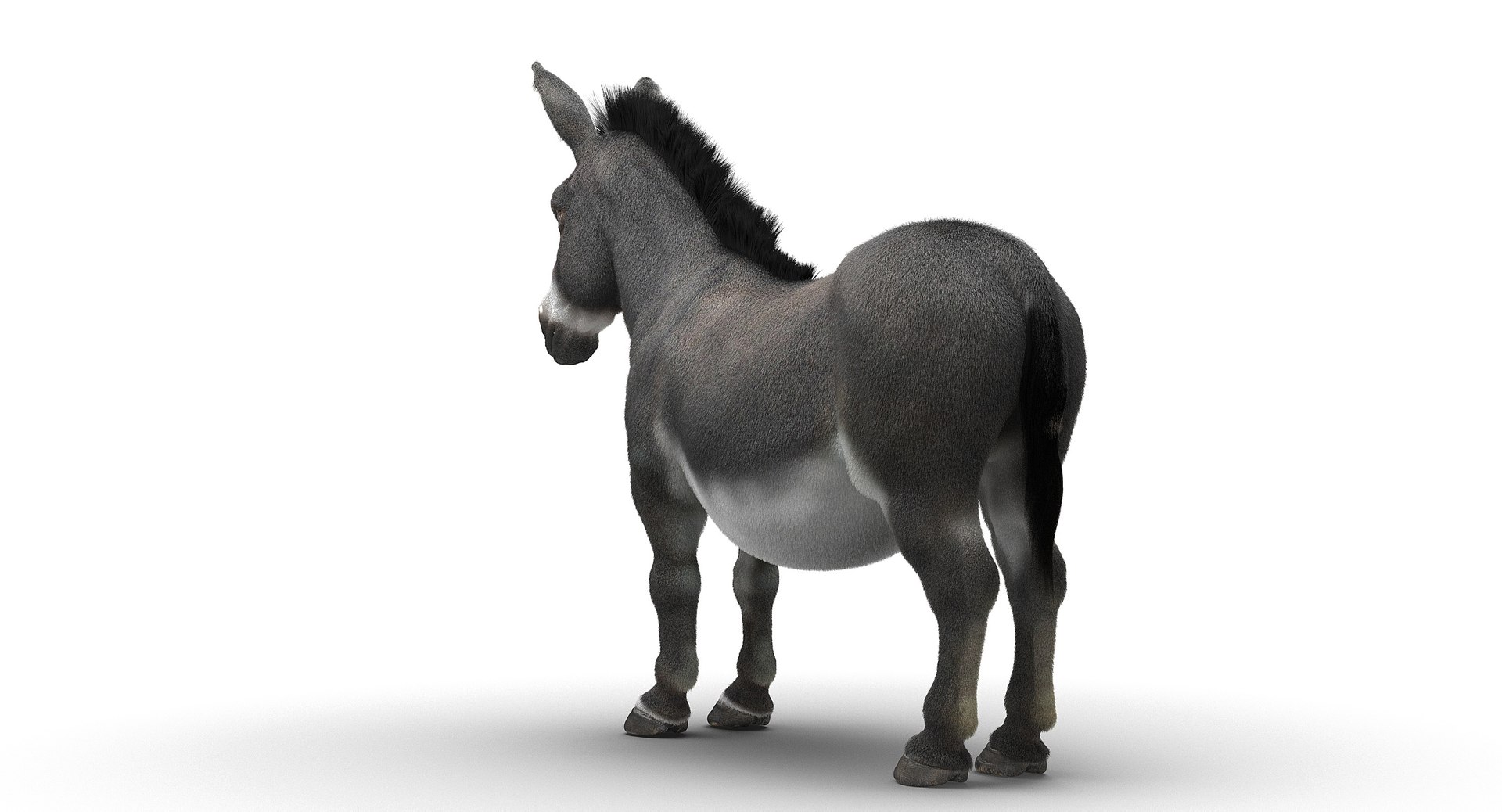 donkey horse max https://p.turbosquid.com/ts-thumb/hE/ScnJ4C/PG81B06X/5/jpg/1479411342/1920x1080/fit_q87/376cc6b49fc1f85efd0162edd4667e47625ffc8b/5.jpg
