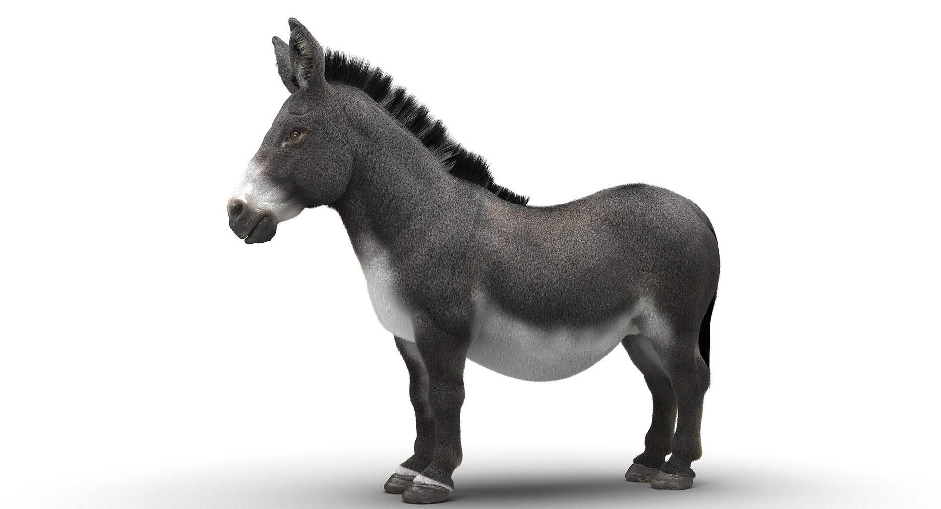 donkey horse max https://p.turbosquid.com/ts-thumb/hE/ScnJ4C/TnDVG9m5/3/jpg/1479080925/1920x1080/fit_q87/ae52630d090dd49857cd4928e6ec61a18c803860/3.jpg
