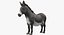 Donkey