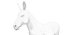 Donkey