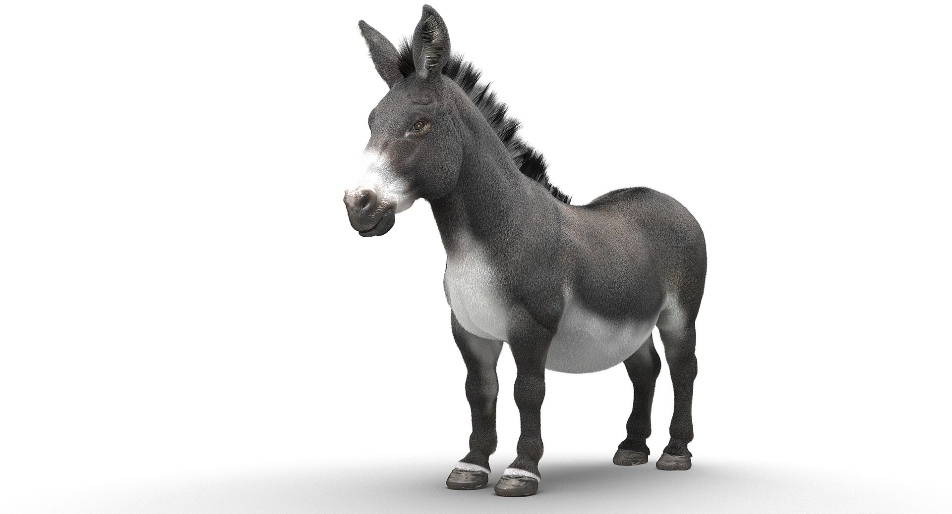 donkey horse max https://p.turbosquid.com/ts-thumb/hE/ScnJ4C/iAfQncUv/15/jpg/1479152800/1920x1080/fit_q87/600ed3e0c357c8a9a907b18f959b0255b6c50fa9/15.jpg