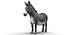 Donkey