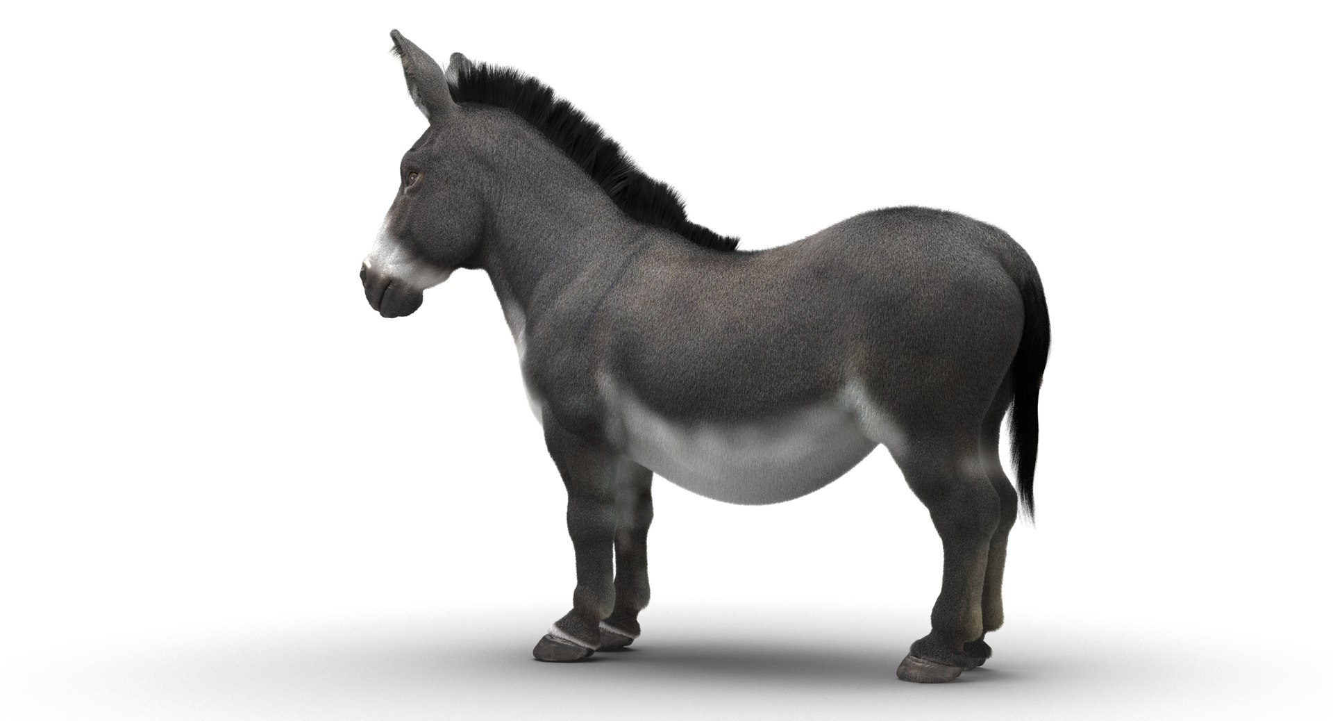 donkey horse max https://p.turbosquid.com/ts-thumb/hE/ScnJ4C/mDfD6BhQ/4/jpg/1479081866/1920x1080/fit_q87/86f6e636854d3caaf4b8c3d01694aef99d2bf32c/4.jpg