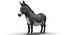 Donkey