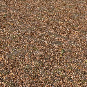 3D Autumn leaves model