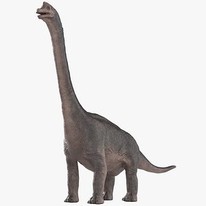 3D Baschiosaurus 3D Model model