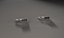 Signet Ring (1)