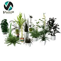 plants collection