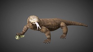 Rigged low poly Komodo Dragon