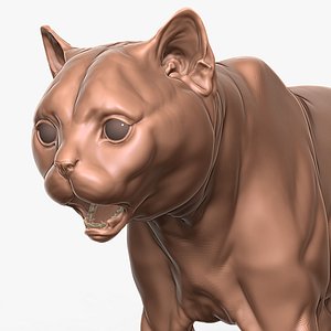British Shorthair Cat Primary Forms Zbrush Sculpt 3D model