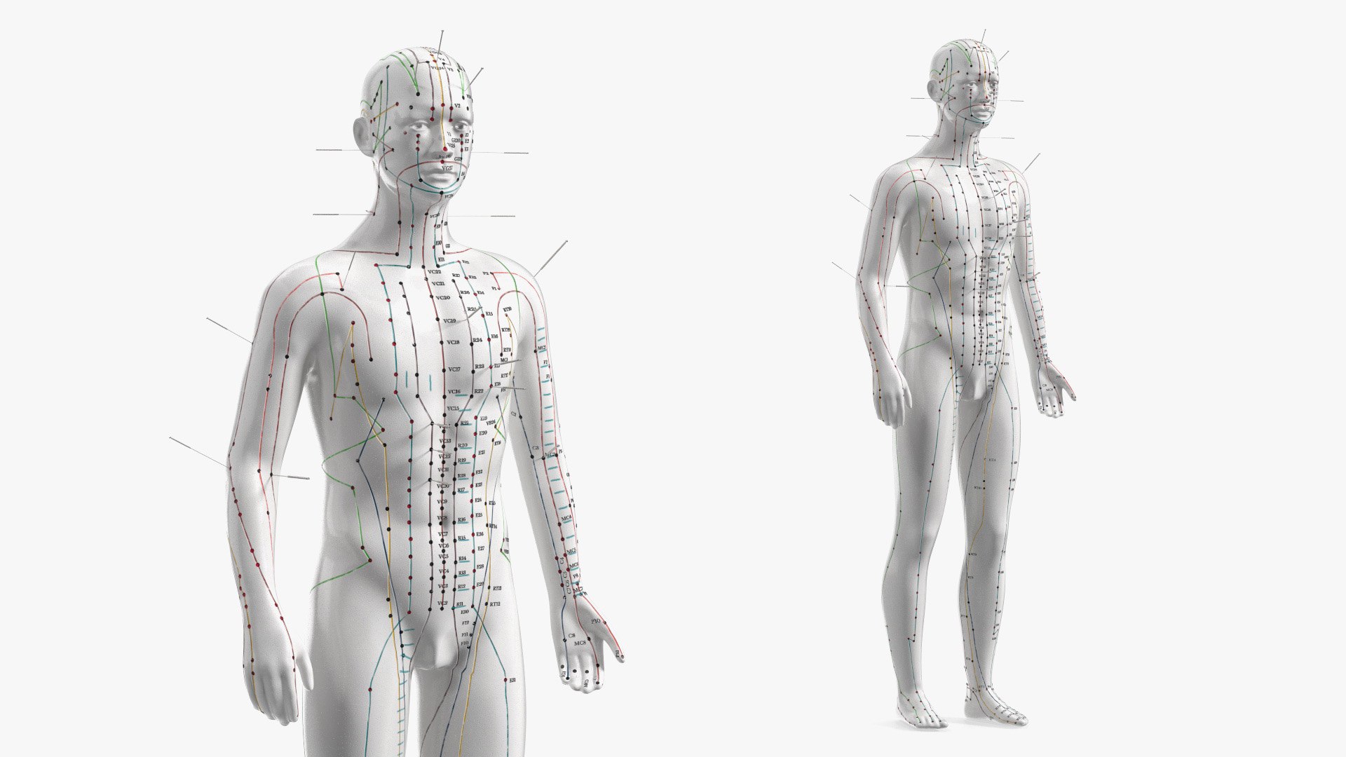 Male Acupuncture Anatomy Chart with Needles 3D model preview
