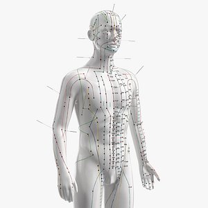 Male Acupuncture Anatomy Chart with Needles