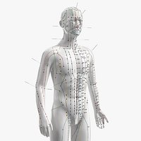Male Acupuncture Anatomy Chart with Needles