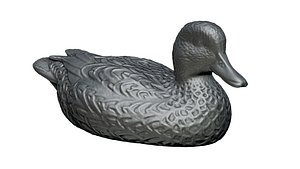 goose print