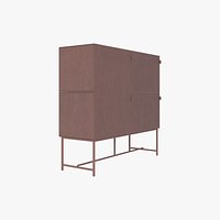 CABINET 004