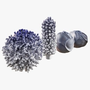 Marine-themed decor