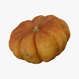 Squash Cucurbita maxima - Extreme Definition 3D Scanned