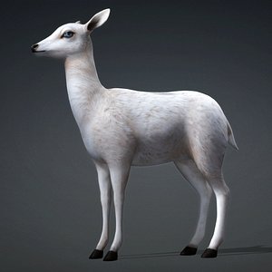 Deer-D2 3D model