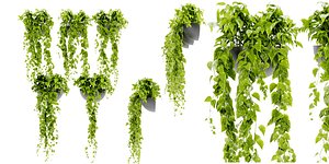 3D Collection plant vol 433 - blender model model