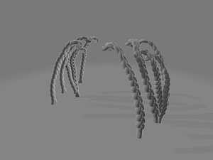braided hair 3D model