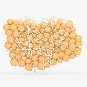 Fat Cells