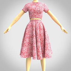 fancy dress - crop top and circle skirt