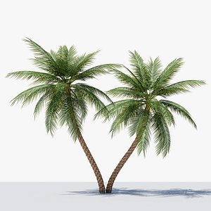 3D Date Palm v6