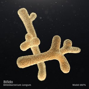 3D microbes bacteria cells