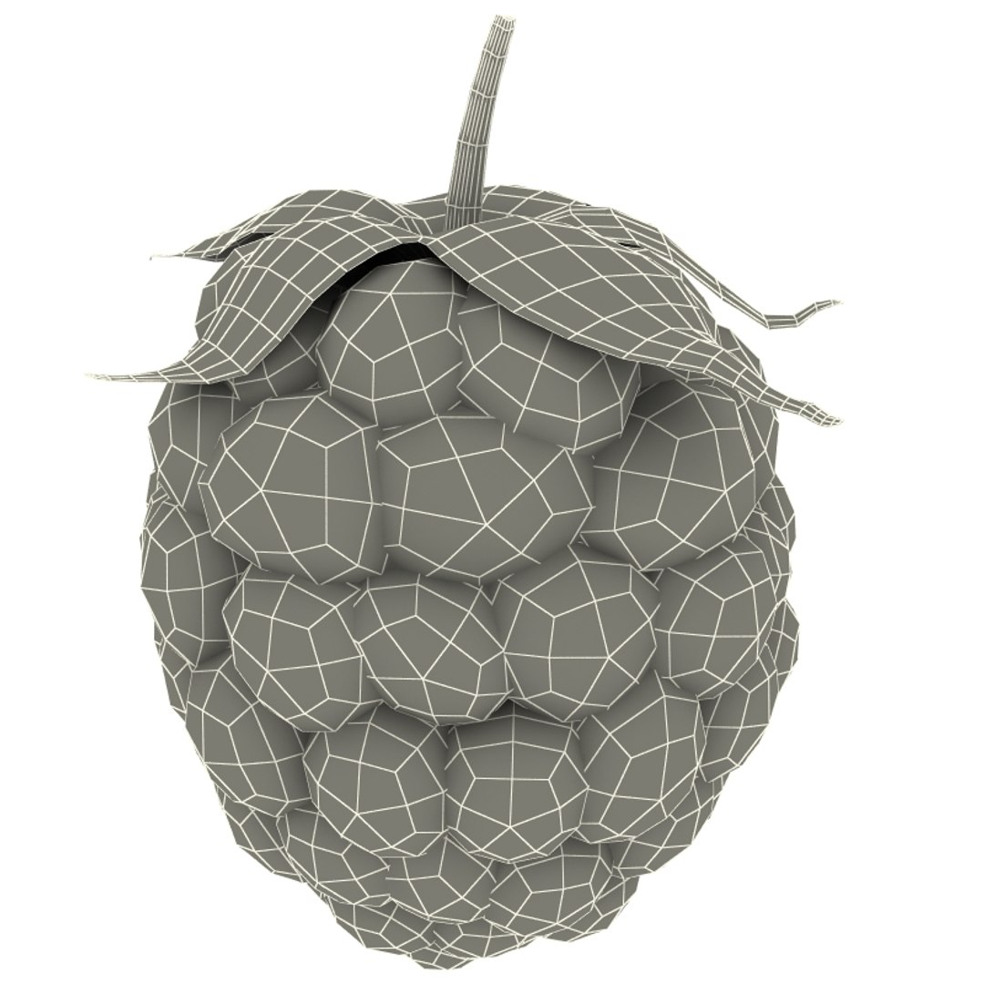 3d raspberry modelled model