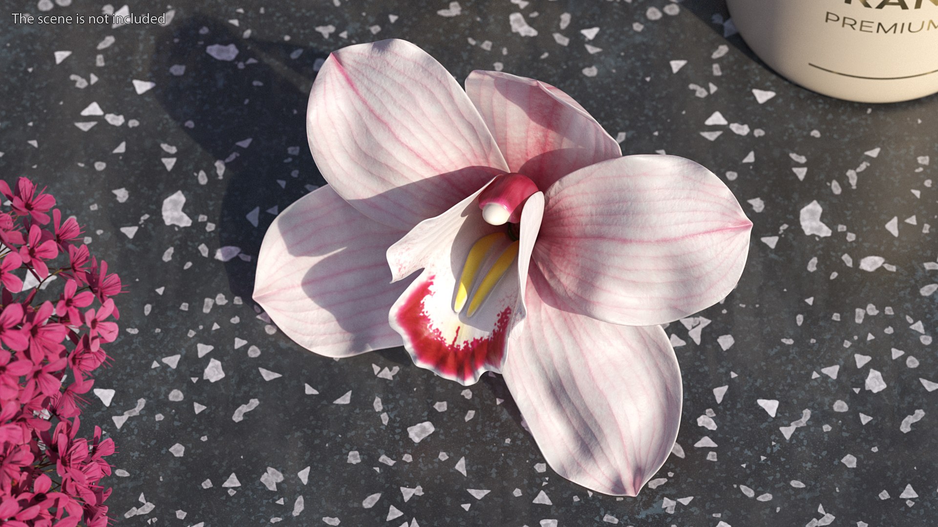 Flowers Collection 15 3D model https://p.turbosquid.com/ts-thumb/hG/fn49it/0h/flowerscollection15mb3dmodel011/jpg/1708315276/1920x1080/fit_q87/dba4ac2c6bd7fe04147bcd5c48838c7505f4c2a3/flowerscollection15mb3dmodel011.jpg