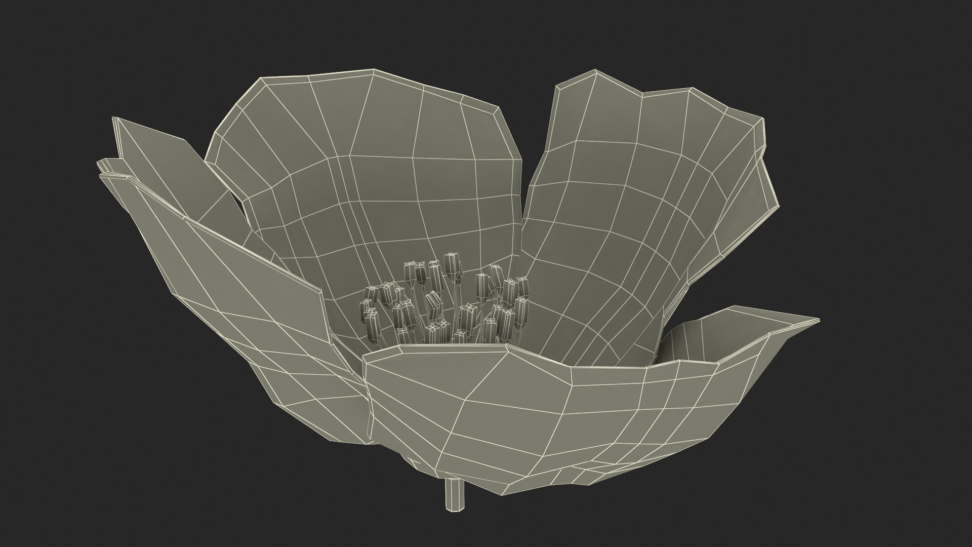Flowers Collection 15 3D model https://p.turbosquid.com/ts-thumb/hG/fn49it/Jm/jasmine_flower_361/jpg/1708313923/1920x1080/turn_fit_q99/78ee93771dc064efde90893495c0f634290a7cff/jasmine_flower_361-1.jpg