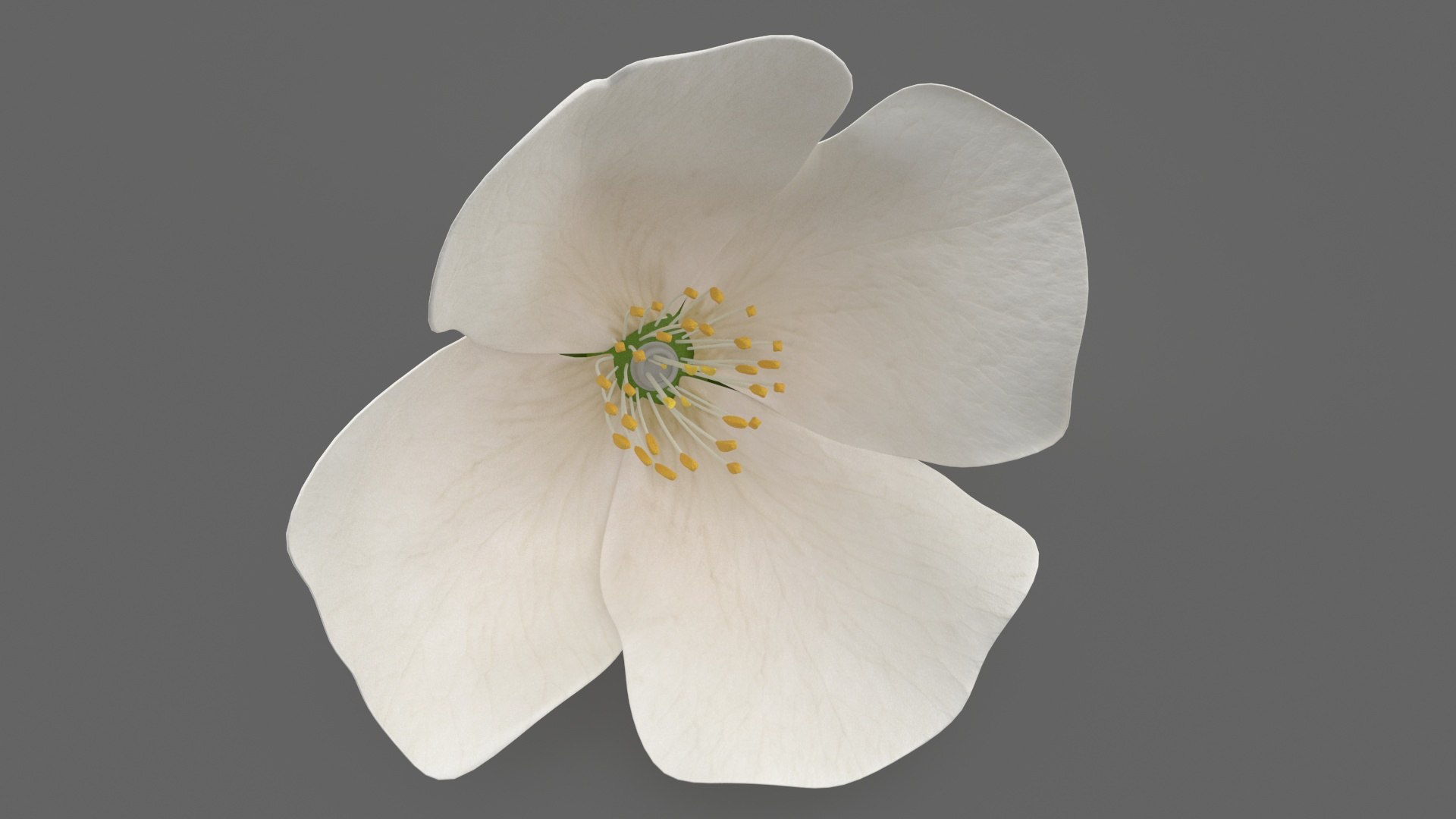 Flowers Collection 15 3D model https://p.turbosquid.com/ts-thumb/hG/fn49it/Lv/flowerscollection15mb3dmodel007/jpg/1708315254/1920x1080/fit_q87/a51c50887f274d46d397c0617a8191d566515508/flowerscollection15mb3dmodel007.jpg