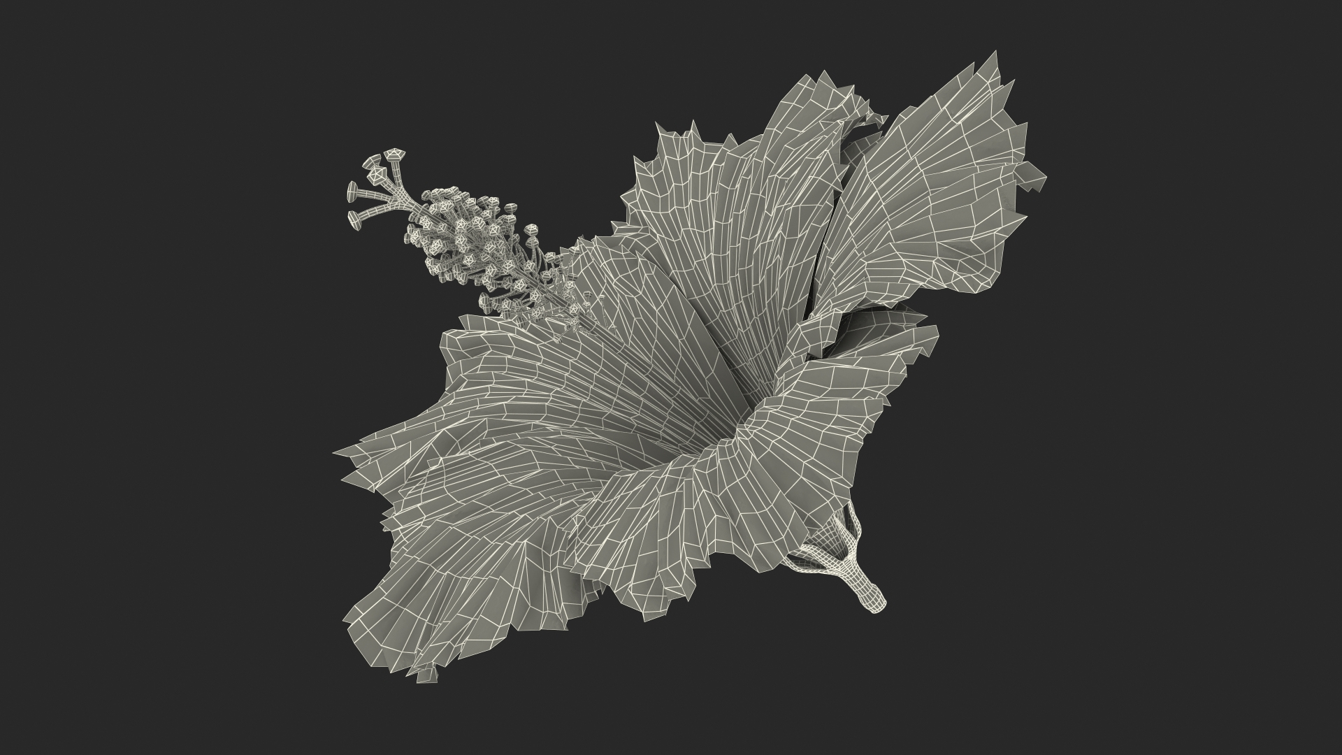 Flowers Collection 15 3D model https://p.turbosquid.com/ts-thumb/hG/fn49it/Nk/blooming_hibiscus_flower_orange_361/jpg/1708314180/1920x1080/turn_fit_q99/eabe328c34c4443ac7ae5c7e0a99c1857c1b18ed/blooming_hibiscus_flower_orange_361-1.jpg
