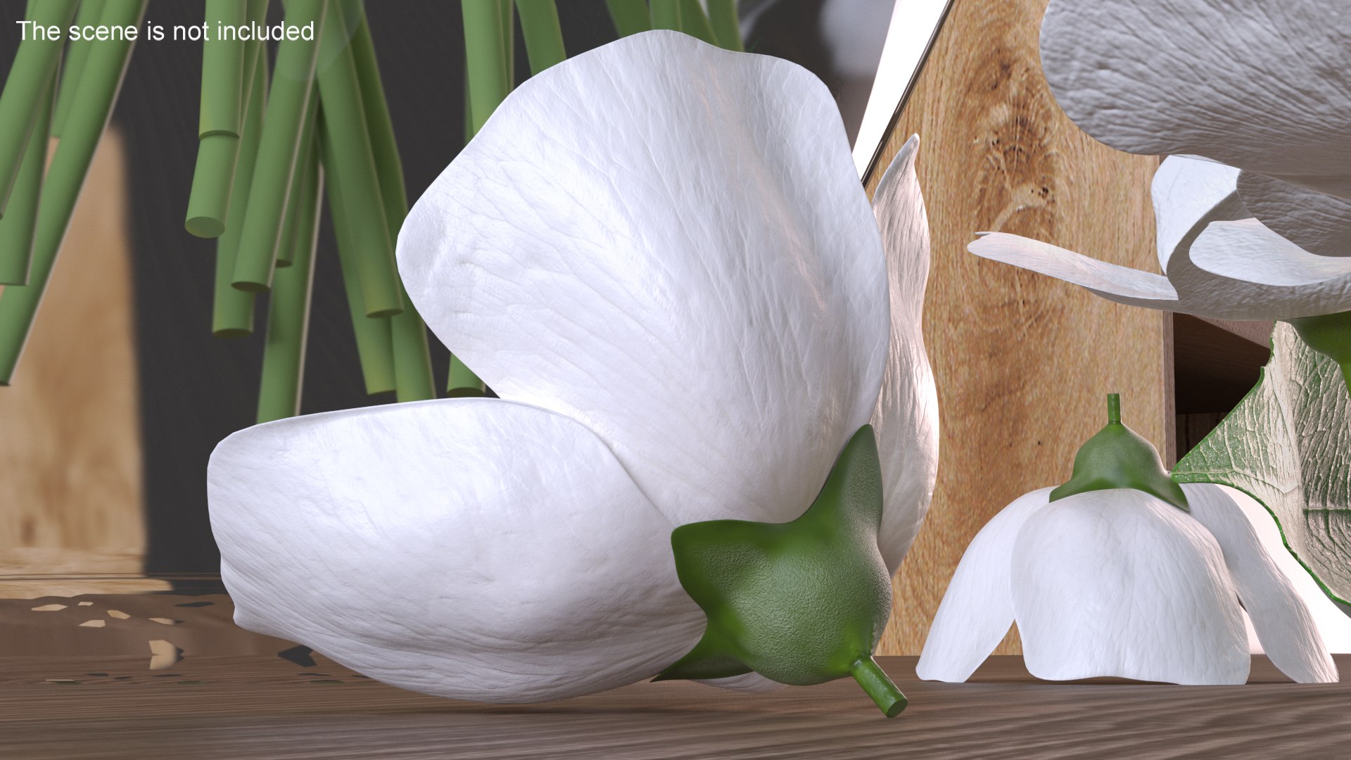 Flowers Collection 15 3D model https://p.turbosquid.com/ts-thumb/hG/fn49it/Z1/flowerscollection15mb3dmodel004/jpg/1708315238/1920x1080/fit_q87/01d57c9e7629c62f4e58ba28b4be9a736e5ee1ae/flowerscollection15mb3dmodel004.jpg