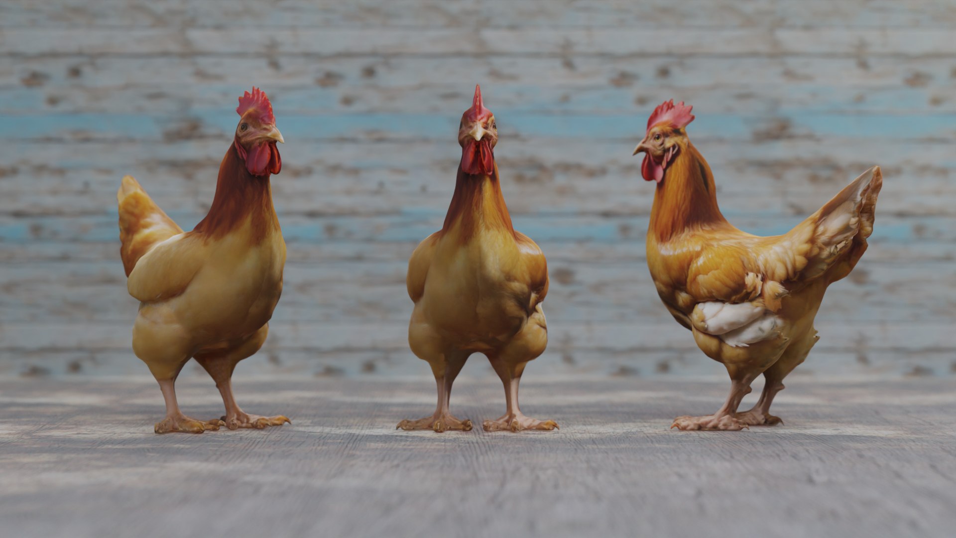 3D Chicken Model - TurboSquid 2377970