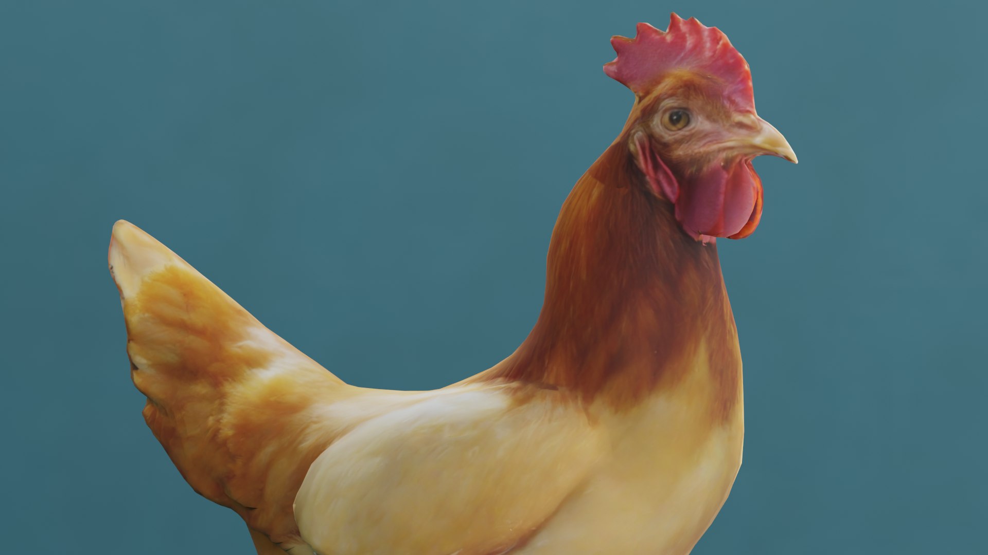 3D Chicken Model - TurboSquid 2377970