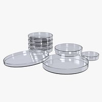 Petri Dish Set - Laboratory Culture Dishes with Lids 4 Sizes