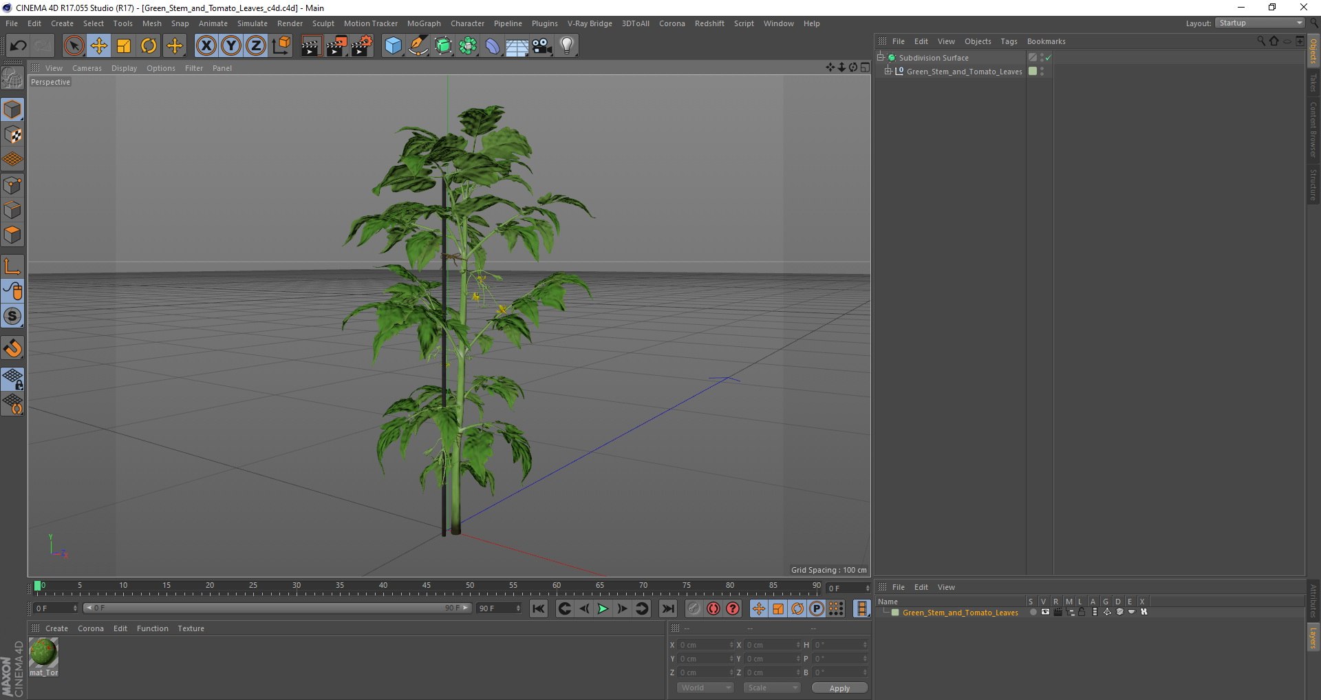 green stem tomato leaves 3D model https://p.turbosquid.com/ts-thumb/hG/ytYOzQ/95PUhgkX/greenstemandtomatoleavesmb3dmodel014/jpg/1583955291/1920x1080/fit_q87/0fcfe3ca19b601eedb786a6746074ab76217c8dd/greenstemandtomatoleavesmb3dmodel014.jpg