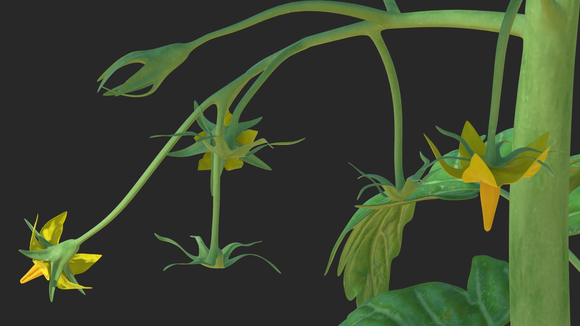 green stem tomato leaves 3D model https://p.turbosquid.com/ts-thumb/hG/ytYOzQ/IMHj9Ojx/greenstemandtomatoleavesmb3dmodel009/jpg/1583955270/1920x1080/fit_q87/1f7cf0d5459d685db06a998dc56699f11b2c8749/greenstemandtomatoleavesmb3dmodel009.jpg