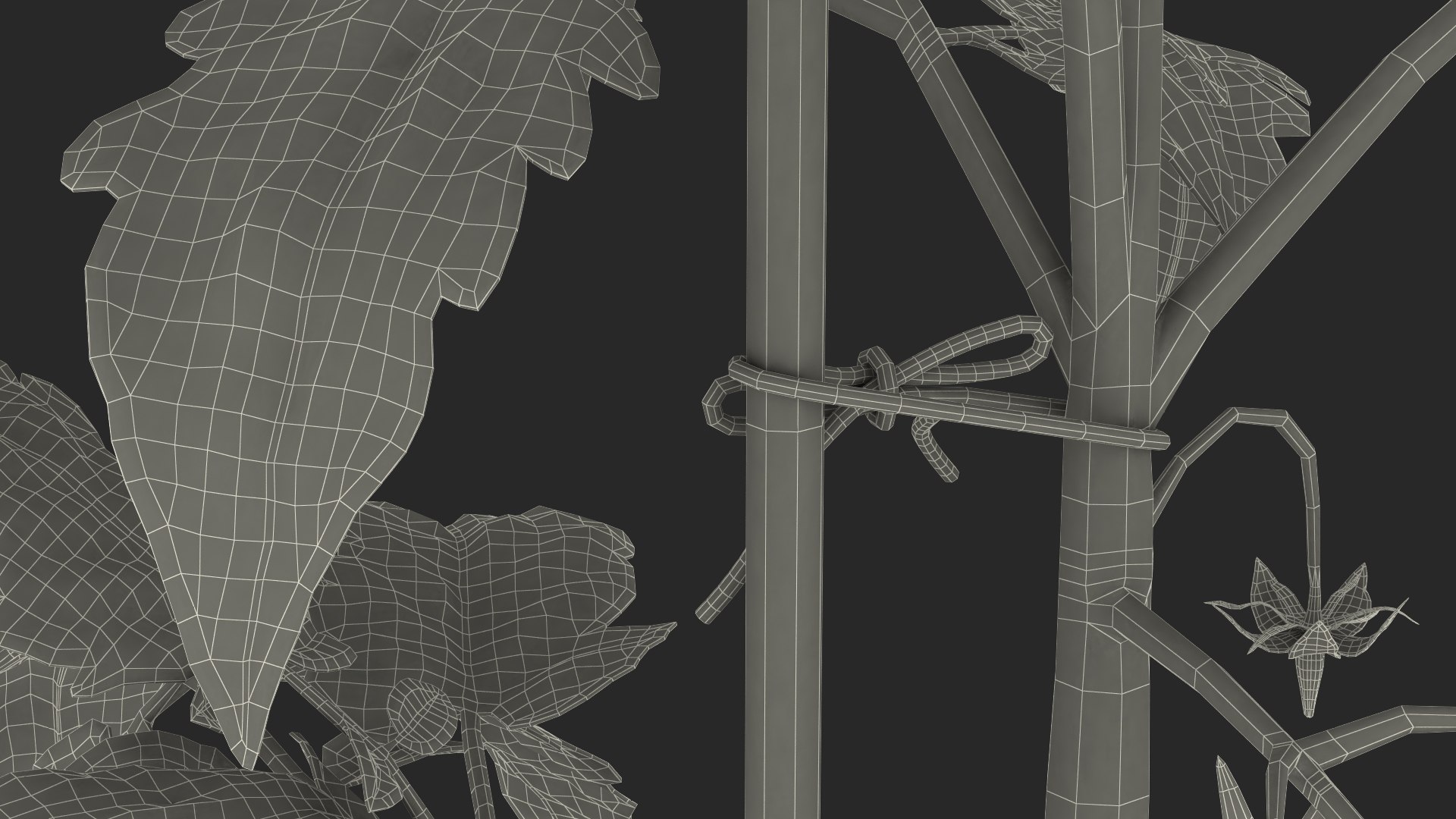 green stem tomato leaves 3D model https://p.turbosquid.com/ts-thumb/hG/ytYOzQ/X4oWgz2u/greenstemandtomatoleavesmb3dmodel019/jpg/1583955442/1920x1080/fit_q87/7eb03ada102de9b784a876b31311da7a5c6a1658/greenstemandtomatoleavesmb3dmodel019.jpg