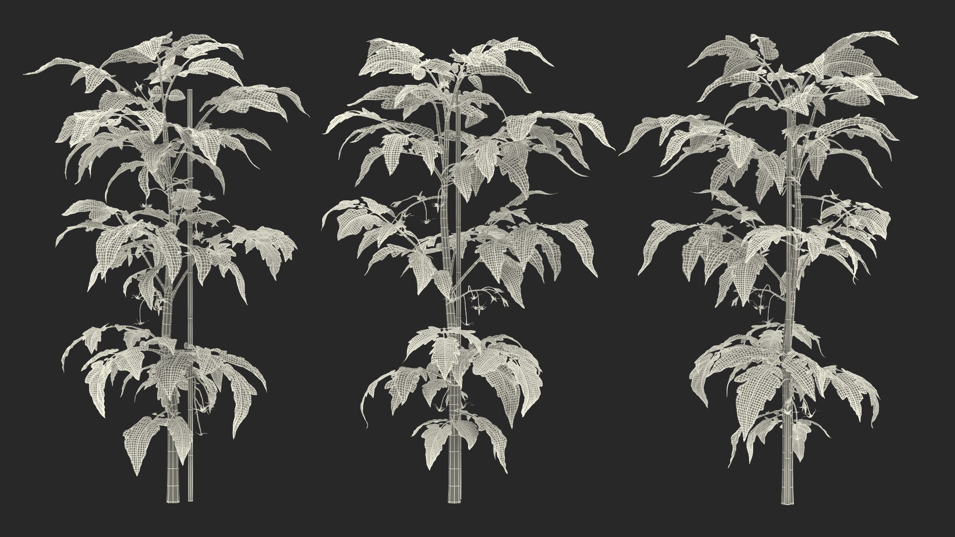 green stem tomato leaves 3D model https://p.turbosquid.com/ts-thumb/hG/ytYOzQ/h50MPNTe/greenstemandtomatoleavesmb3dmodel017/jpg/1583955435/1920x1080/fit_q87/dce162c701bf842caf9b3f1b56492620ec874d53/greenstemandtomatoleavesmb3dmodel017.jpg