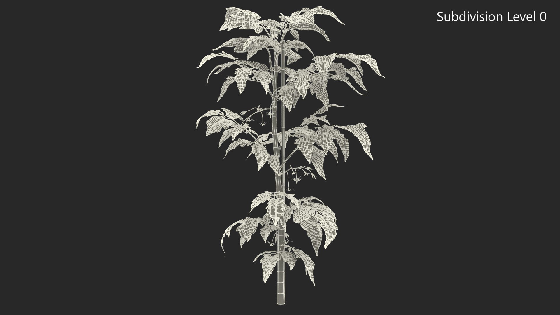 green stem tomato leaves 3D model https://p.turbosquid.com/ts-thumb/hG/ytYOzQ/wOVWKbTm/greenstemandtomatoleavesmb3dmodel010/jpg/1583955278/1920x1080/fit_q87/214f4d42ab196025ed852d850267e46122b3c59b/greenstemandtomatoleavesmb3dmodel010.jpg